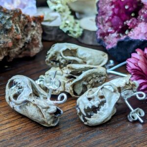 Aged Ferret Skull Earrings | 3D Resin Printed & Hand-Painted | Boho Hippie Goth Witch Jewelry | Vegan Animal Bone Skull Oddity Goblincore